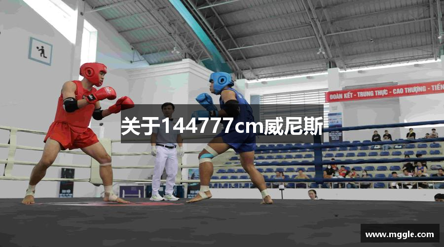 关于144777cm威尼斯